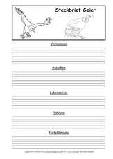 Steckbriefvorlage-Geier.pdf